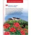 Książka dla dzieci Siostra Faustyna Zaufaj Bogu już dziś
